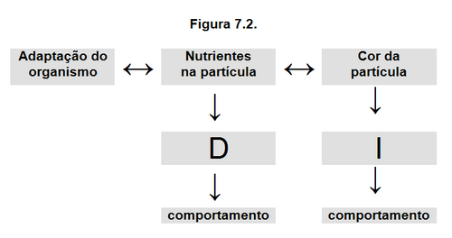 Figura 7.2